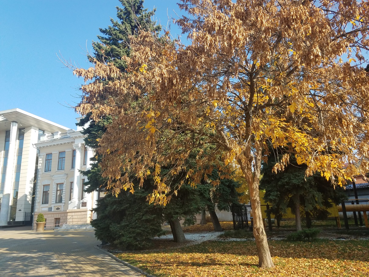 «ИСТОРИЧЕСКИЕ ВТОРНИКИ»