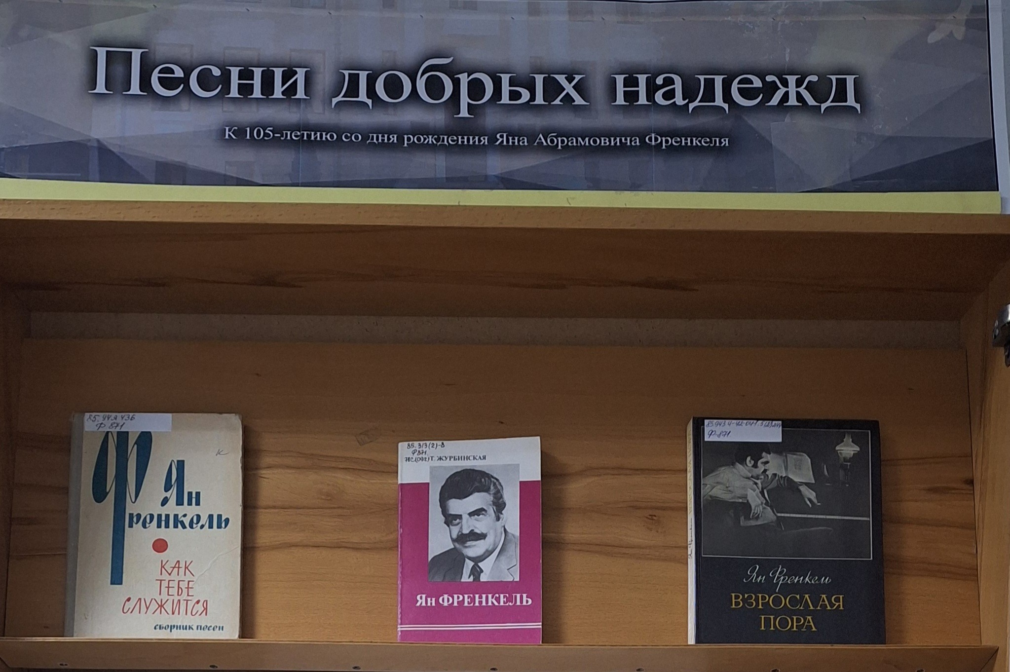 Песни добрых надежд