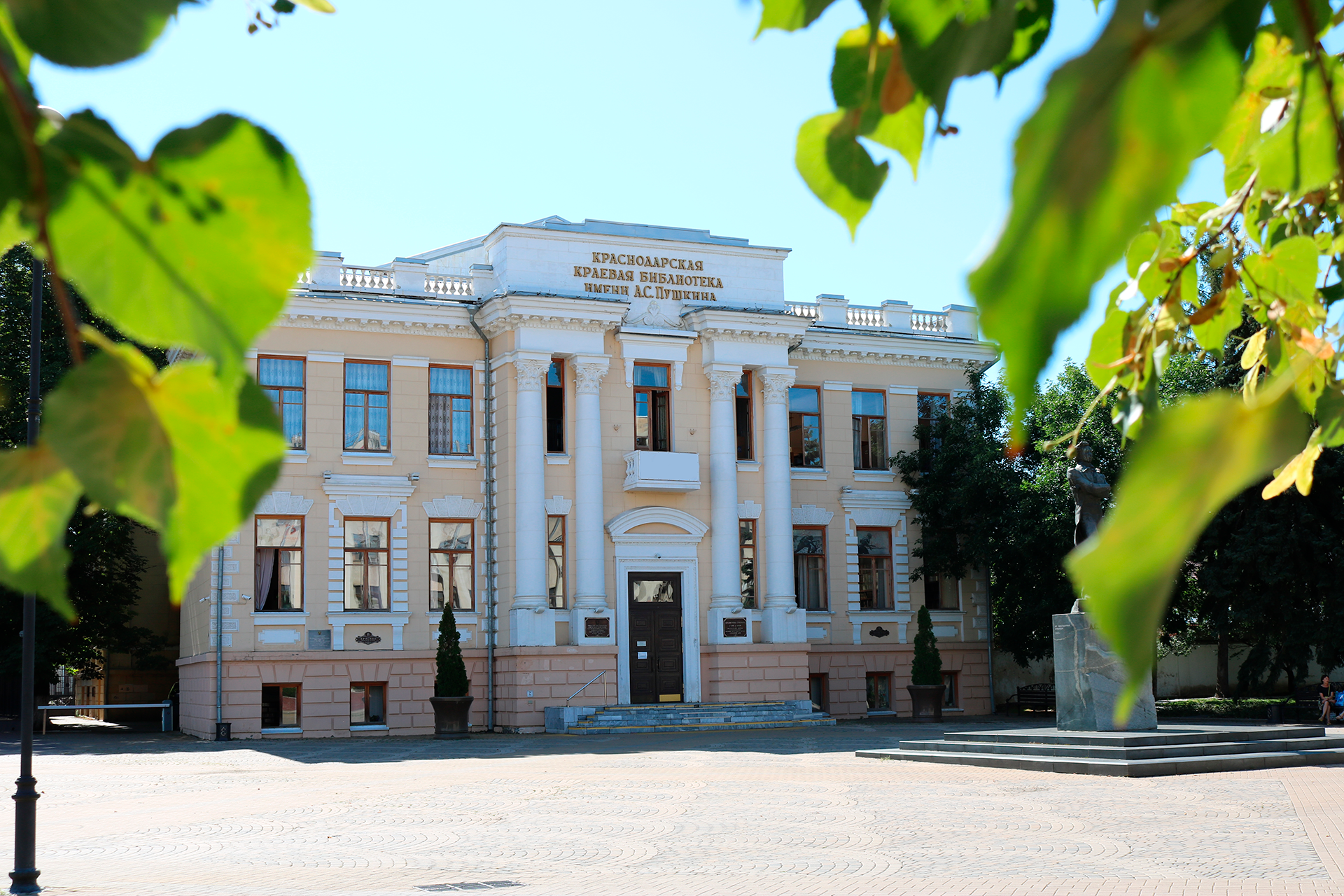 Новые поступления